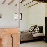Domnumer 10 Pokrzywnik
