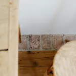 Lantställe Domnumer 10 Pokrzywnik