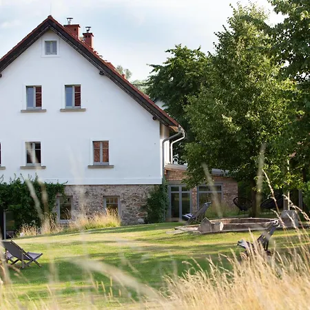 Domnumer 10 * Pokrzywnik