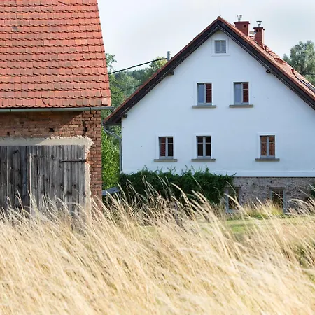 Domnumer 10 * Pokrzywnik