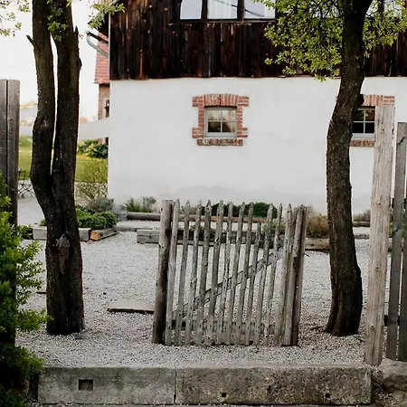 Domnumer 10 Pokrzywnik