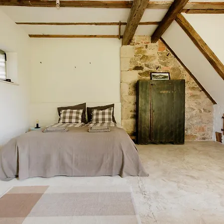 Domnumer 10 * Pokrzywnik