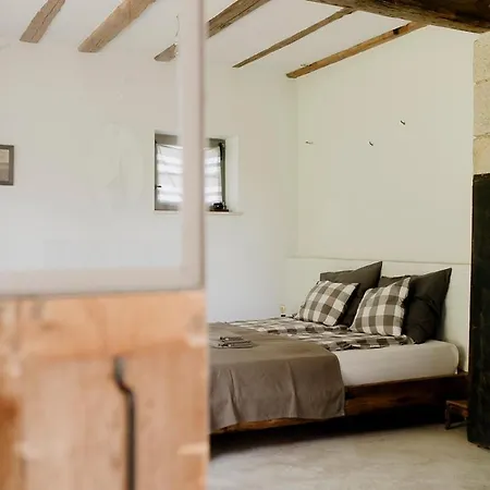 Domnumer 10 Pokrzywnik