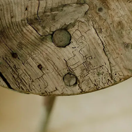 Landsted Domnumer 10