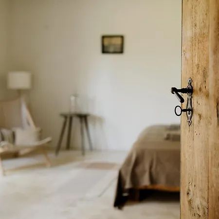 Domnumer 10 Pokrzywnik