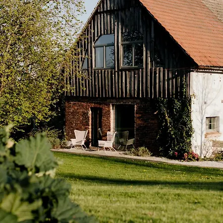 Domnumer 10 * Pokrzywnik