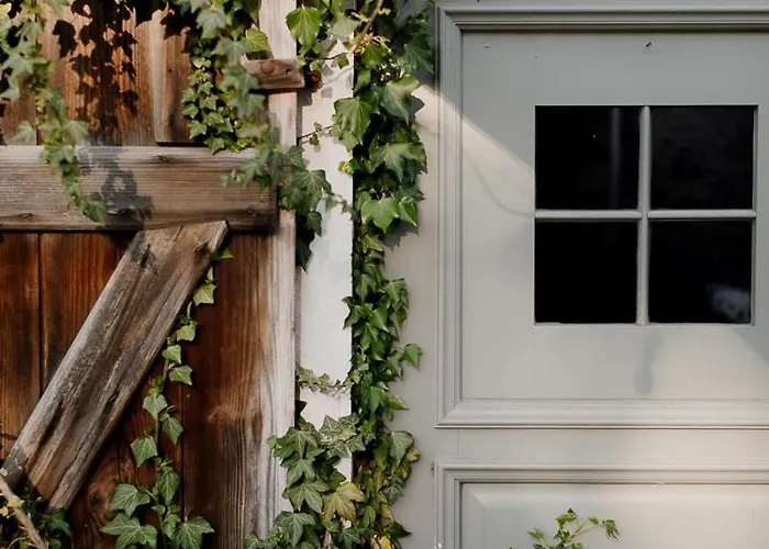 Domnumer 10 Летний дом