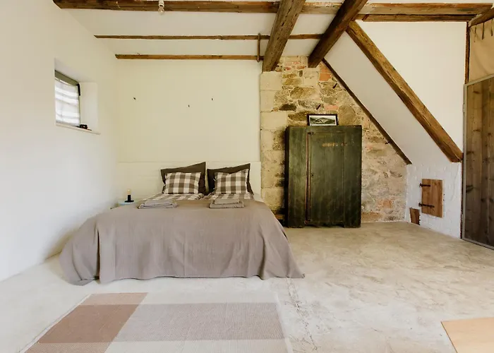 Domnumer 10 * Pokrzywnik