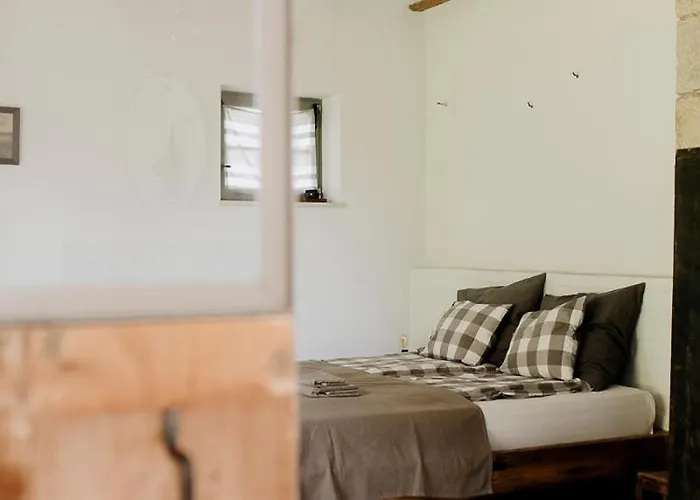 Domnumer 10 Pokrzywnik