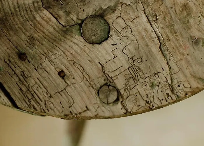 乡村民宿 Domnumer 10