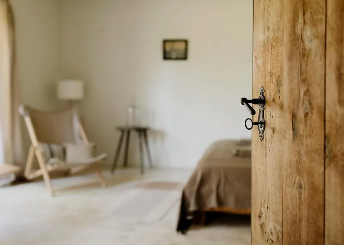 Domnumer 10 Pokrzywnik