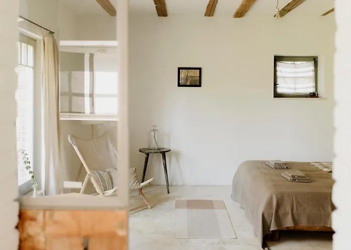 Domnumer 10 * Pokrzywnik