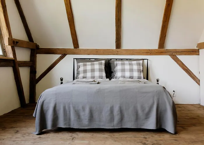 Domnumer 10 * Pokrzywnik